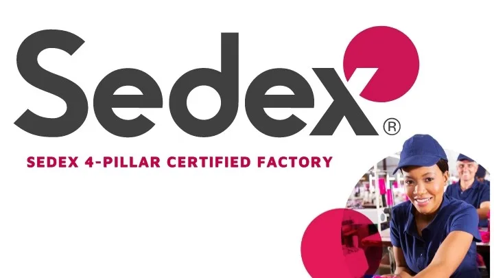 SEDEX Logo